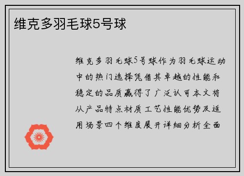维克多羽毛球5号球