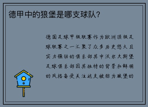 德甲中的狼堡是哪支球队？